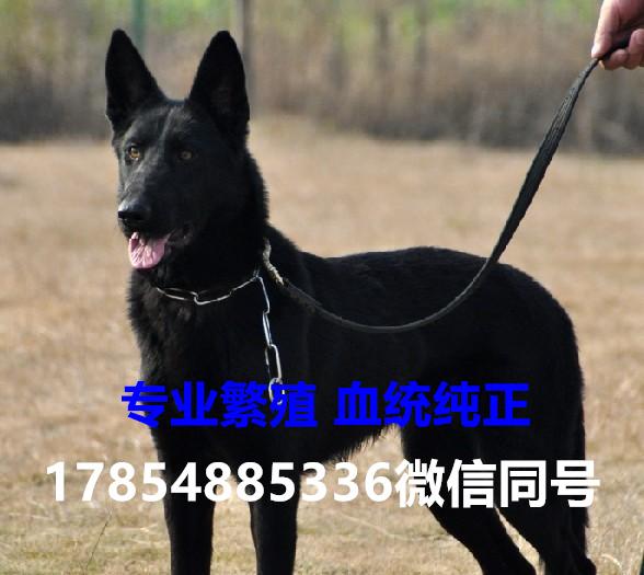 第338页