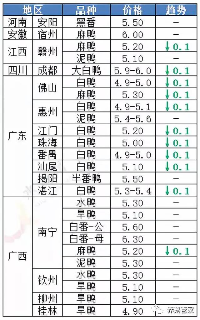毛鸭最新行情及深度分析