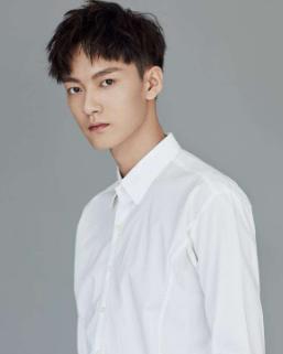 演员张冠，演艺之路的闪耀之星