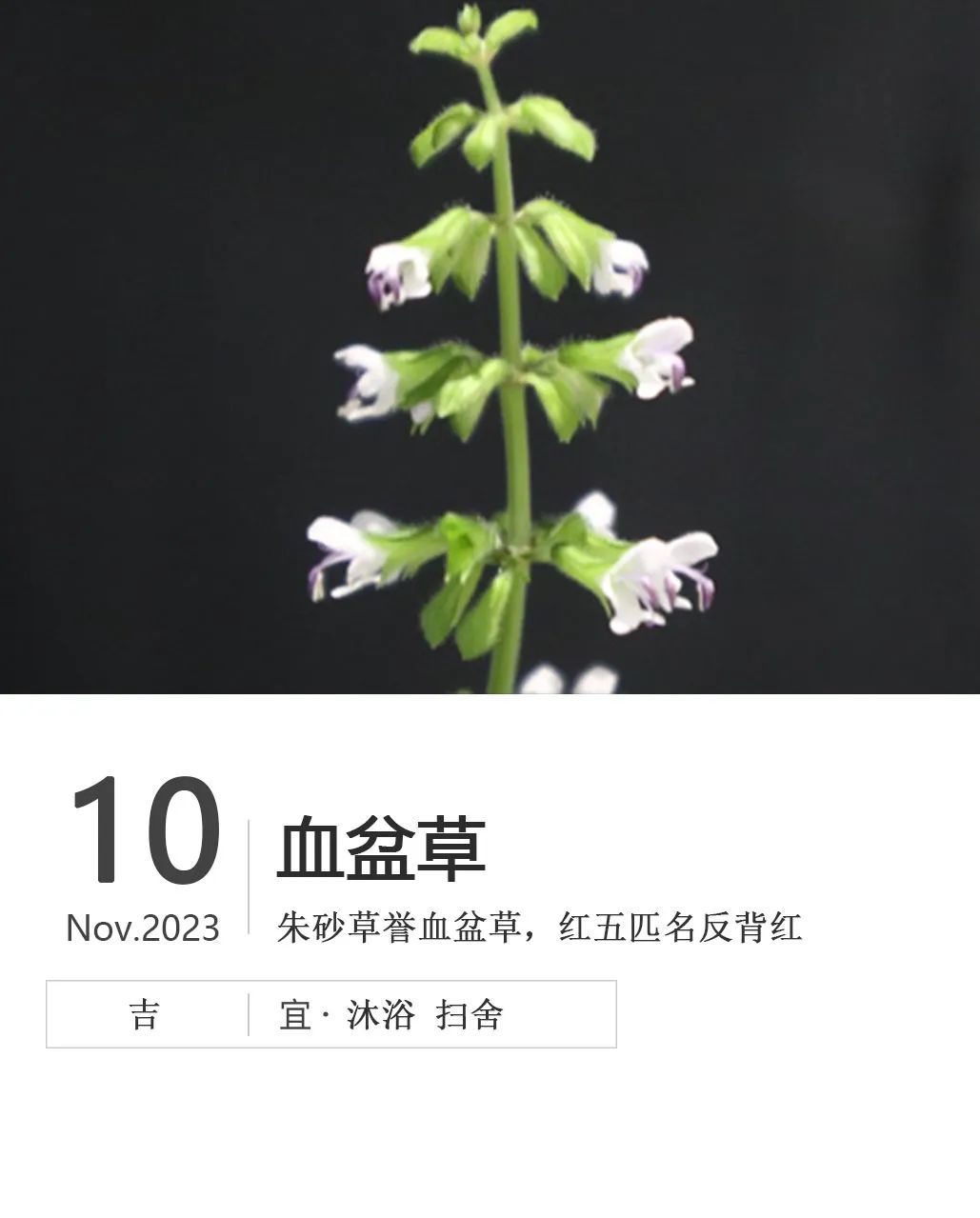 第207页