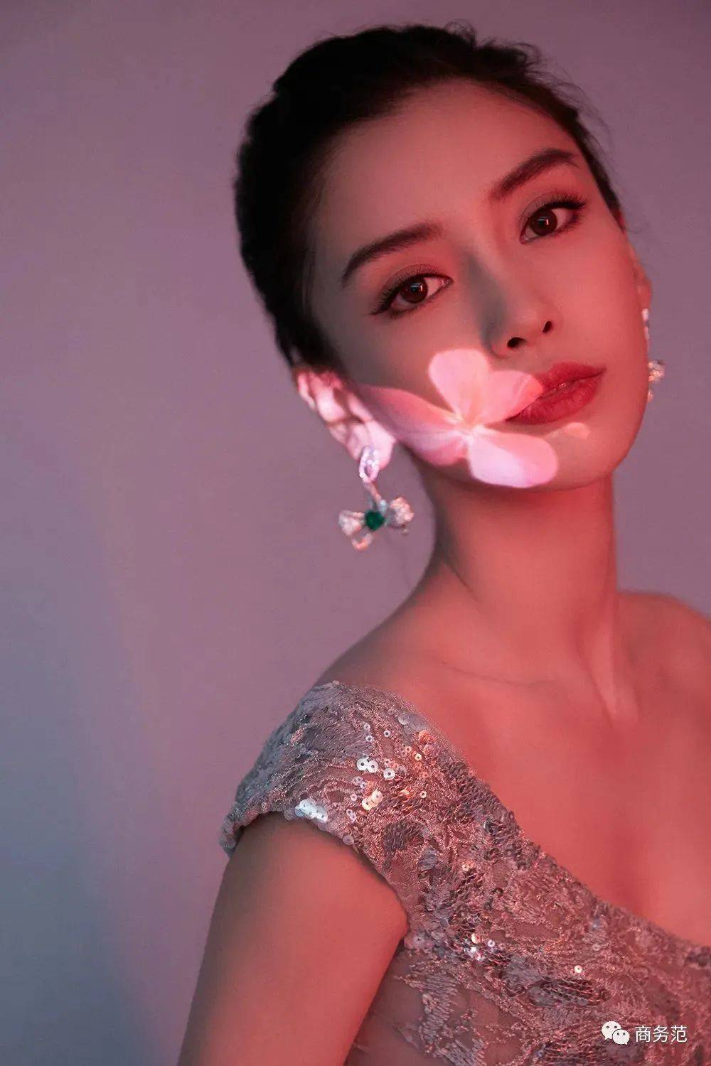 蝴蝶明星现象，多元解读背后的闪耀之星