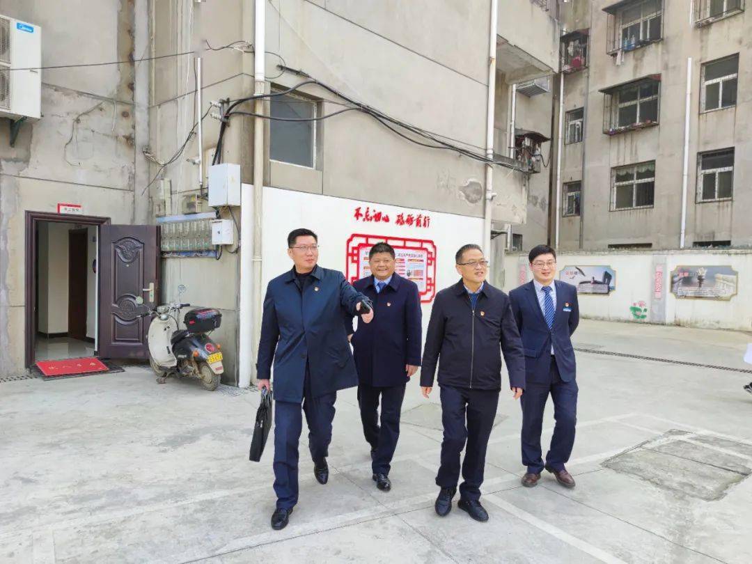 孝感市领导自然之旅，与自然美景的亲密邂逅动态更新