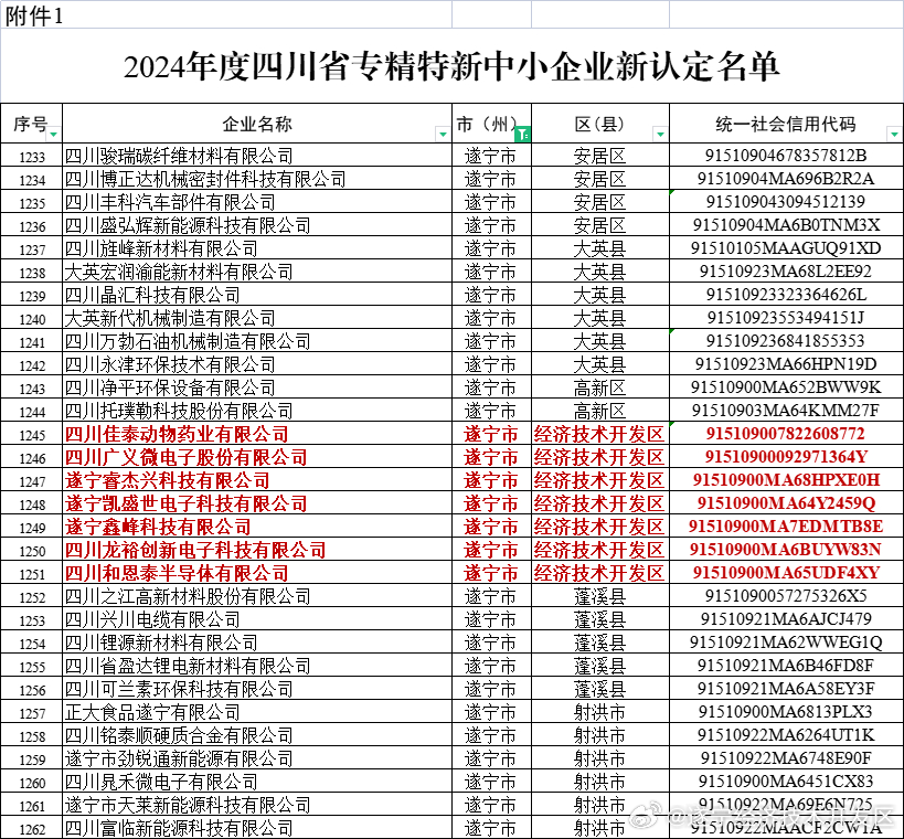 遂宁上市公司，学习、变革与自信的旅程