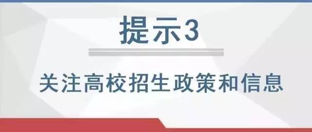 福鼎最新资讯，小巷深处的独特风味