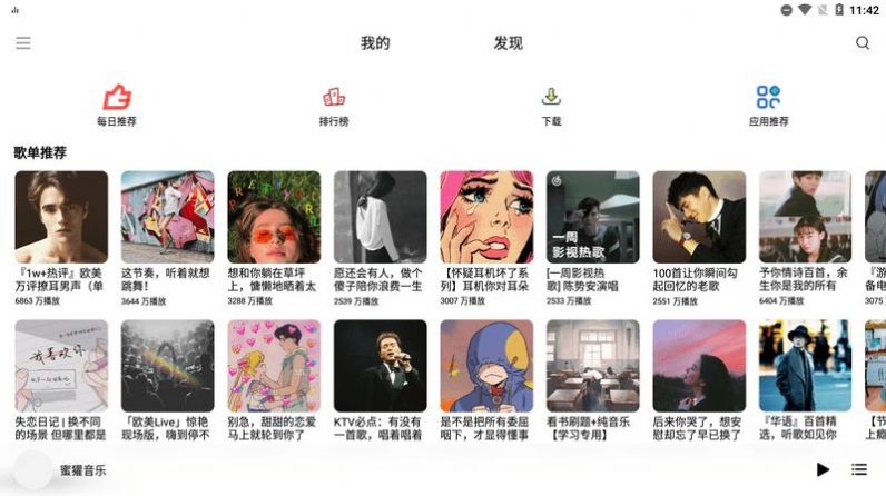 蜜獾崛起，时代中的坚韧斗士及其影响力解析