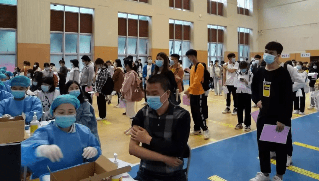 小非最新统计信息揭秘，高科技产品的革新之旅