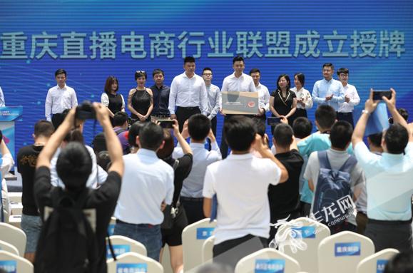 最新版爱尚直播，自然美景的治愈之旅，探寻内心平和的启程