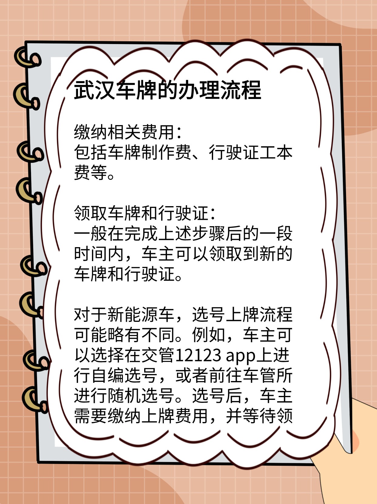 武汉车辆办牌照最新要求详解，多方观点分析与阐述