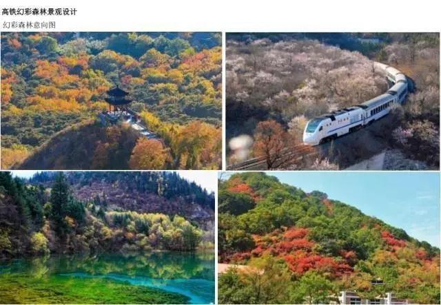 安徽国有林场改制开启绿色新篇章，推动可持续发展🌲