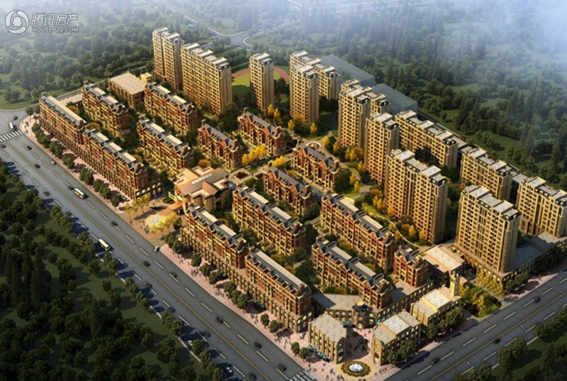 鹏洲丽城最新动态揭秘，温馨日常的趣事与情感纽带